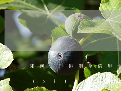 如何處理逾期至信用卡中心？詳細(xì)辦理流程與所需手續(xù)